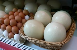 Сколько минут варить яйцо страуса всмятку и вкрутую?