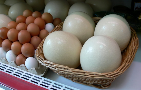 Сколько минут варить яйцо страуса всмятку и вкрутую?